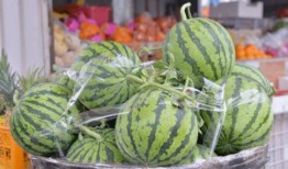 乐洵吃瓜最新,揭秘娱乐圈最新热点事件