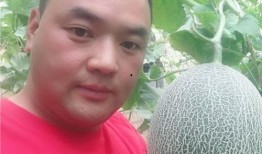 吃瓜是什么直播