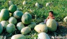 吃瓜第二播,揭秘娱乐圈幕后故事