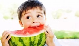 开课吃瓜,揭秘校园里的趣味课堂瞬间