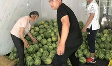 常州汪瑞吃瓜,一场网络热议的瓜田奇谈