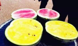 718爆料吃瓜,娱乐圈最新瓜料大揭秘！