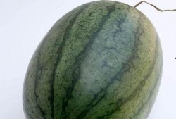 空腹吃瓜恶心,揭秘夏日饮食禁忌