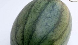 空腹吃瓜恶心,揭秘夏日饮食禁忌