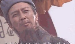 吃瓜闲聊投稿结果,热门话题背后的趣味与思考