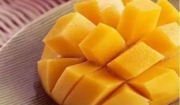 芒果吃瓜社,揭秘娱乐圈那些不为人知的幕后故事