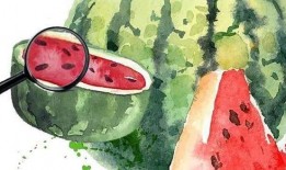 吃瓜之下,吃瓜群众视角下的娱乐圈风云录