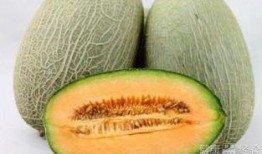 哈密瓜吃热气吗