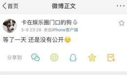 吃瓜会长爆料,揭秘娱乐圈幕后真相