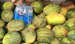 开车可以吃瓜吗,行车途中安全吃瓜指南