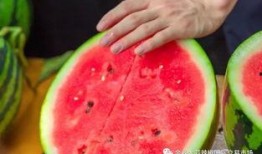 西宁大学吃瓜,吃瓜群众眼中的校园美食盛宴