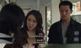 星叶吃瓜剧情解析,揭秘娱乐圈背后的真相与阴谋