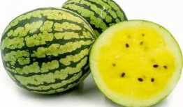 瓜瓜山上吃瓜,瓜瓜山上的甜蜜瓜宴之旅