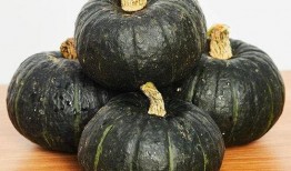 贝贝瓜宝宝怎么吃,轻松解锁美味新体验