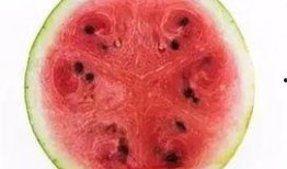 怎样科学吃瓜