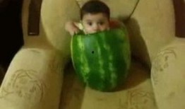 吃瓜转发照片,跟随镜头探寻那些被转发的神秘照片