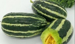 吊瓜尖尖怎么吃,解锁美味新体验