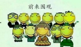 吃瓜群众5220,一场全民参与的娱乐盛宴