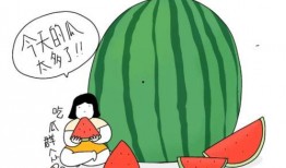 奉节老师 吃瓜,揭秘校园里的那些“瓜”