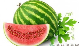 吃瓜可以防暑,吃瓜解暑，享受清凉一夏