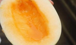 没兴趣吃任何瓜,揭秘我对任何瓜类食物的无感态度