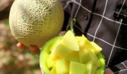 吃瓜建圈,揭秘网络社交新趋势