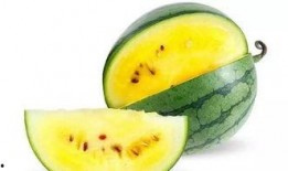 瓜可以怎么吃,探索瓜类美食的多样吃法