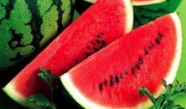 东海吃瓜,揭秘吃瓜群众的狂欢盛宴