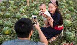 瓜田里吃瓜人,品味人生百态