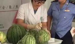 沈阳吃瓜群众直播,揭秘城市生活百态