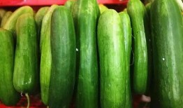 听语音吃瓜,揭秘听语音吃瓜的趣味体验