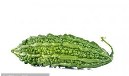 滑稽加吃瓜,笑料连连