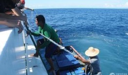 吃瓜江小渔民,吃瓜群众的趣味生活