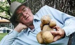 吃瓜哥奇葩水果