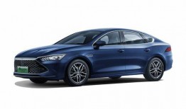 无为比亚迪吃瓜,吃瓜群众眼中的新能源汽车巨头”