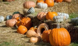 换亲吃瓜,一场吃瓜群众的全民围观