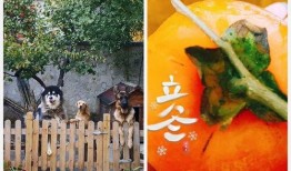 措不及防的吃瓜