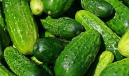 梦见吃瓜儿,揭秘吃瓜儿的神秘寓意