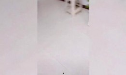 情侣吵架吃瓜路人,吃瓜群众围观热议