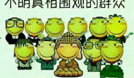 吃瓜群众github,揭秘“吃瓜群众”在GitHub上的影响力与活跃度