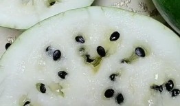 东北漠河吃瓜砂糖橘,冰原上的甜蜜瓜果时光