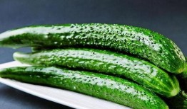 瓜哥吃瓜不吐籽视频,揭秘视频背后的趣味与真相