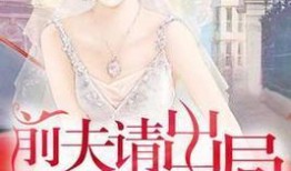 吃瓜前夫小说,揭秘娱乐圈背后的婚姻真相