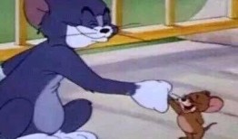 杰瑞吃瓜表情,揭秘网络红人的魅力瞬间