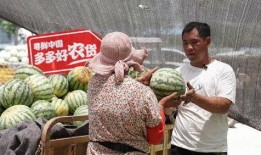 光棍在地里吃瓜,独享田园乐逍遥