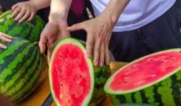 西宁大学吃瓜,吃瓜群众眼中的校园美食盛宴