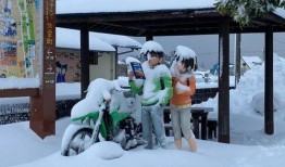 吃瓜的大雪,吃瓜群众围观娱乐圈风云