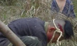 穷孩子吃瓜,揭秘瓜农的辛酸与希望