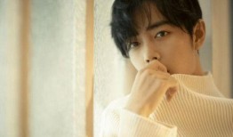 肖战 吃瓜,娱乐圈吃瓜大事件背后的真相揭秘