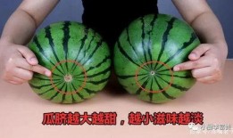 听语音吃瓜,揭秘听语音吃瓜的趣味体验